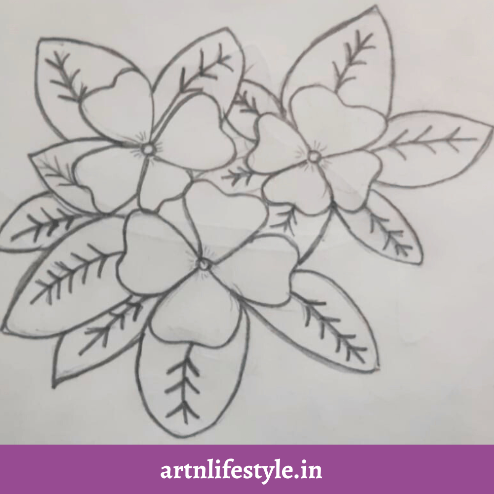 easy drawing ideas - vincas