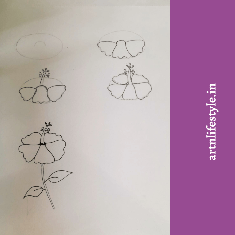 draw hibiscus step by step