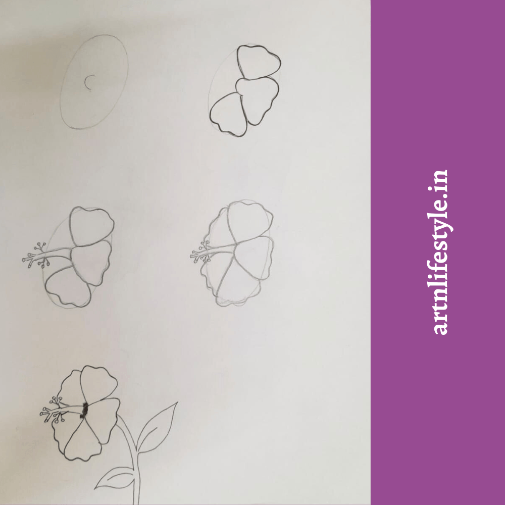 draw hibiscus step by step