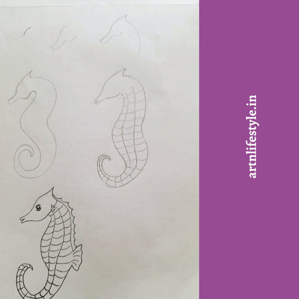 step by step seahorse drawing