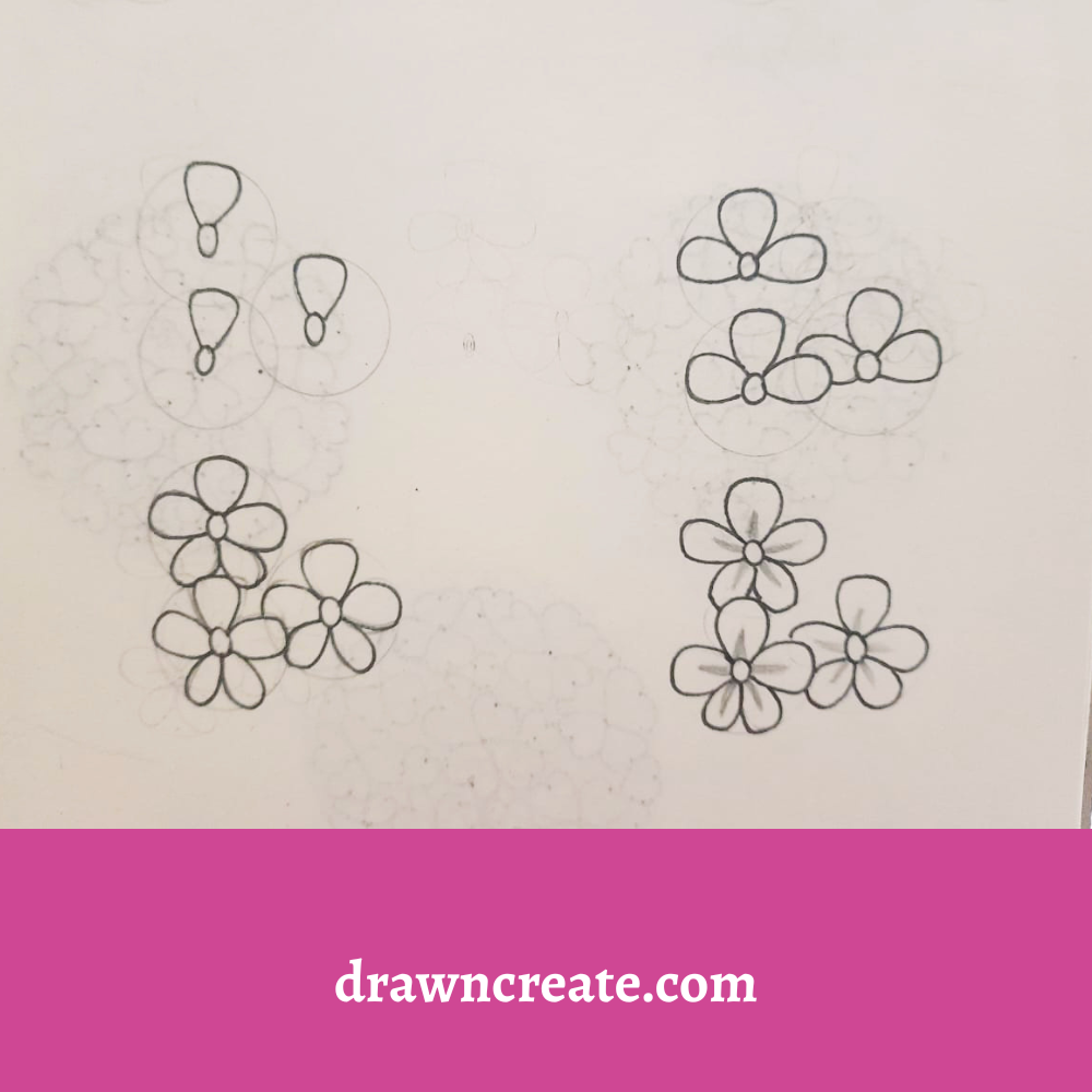 Step by step forget me flower drawing