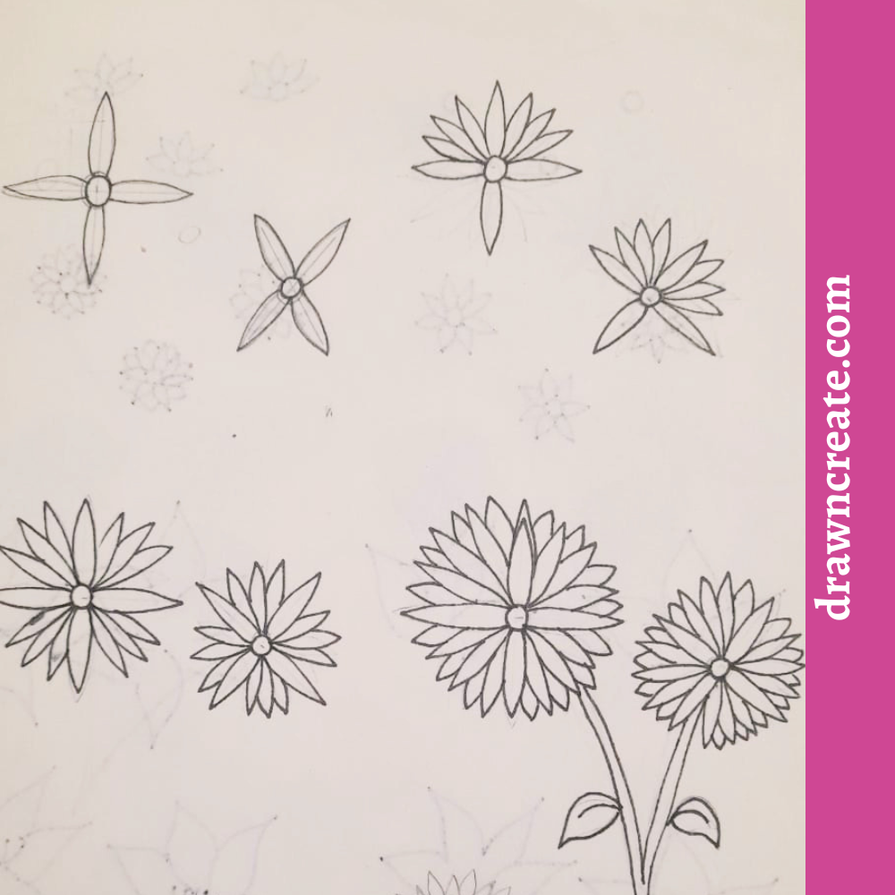 Step by step daisy flower drawing