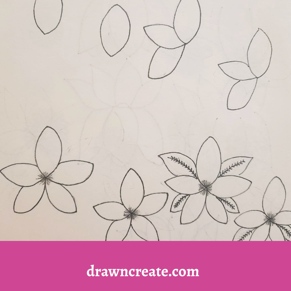 Step by step hawaii flower drawing