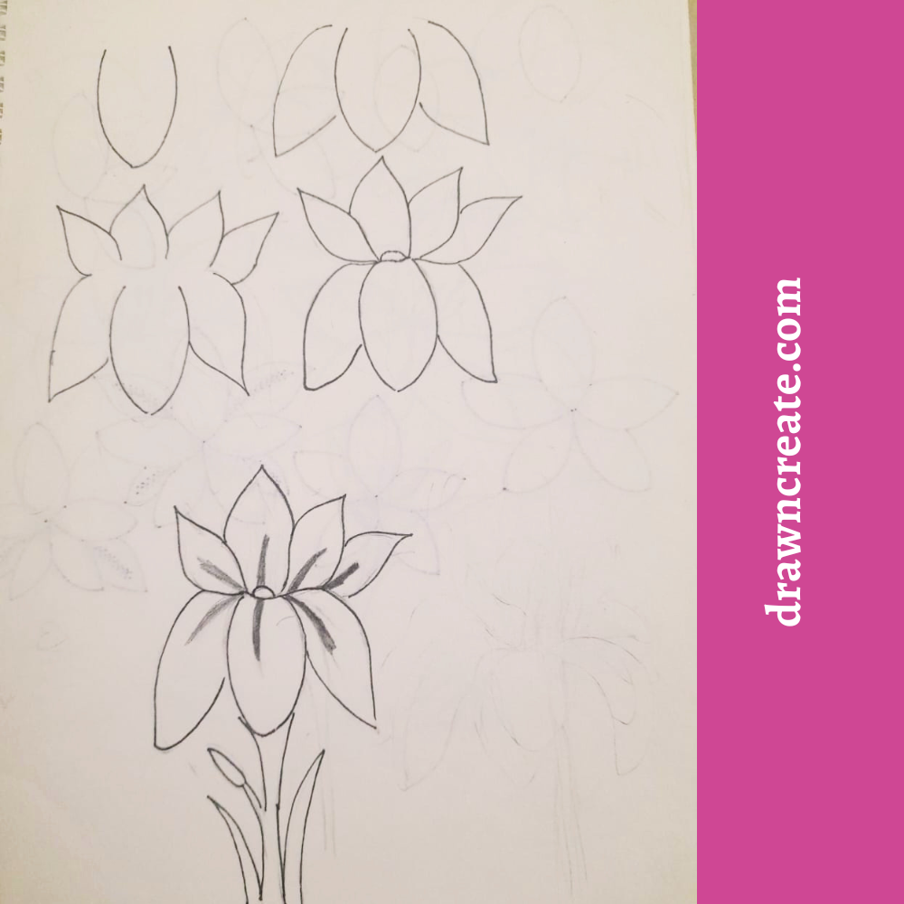 Step by step iris flower drawing