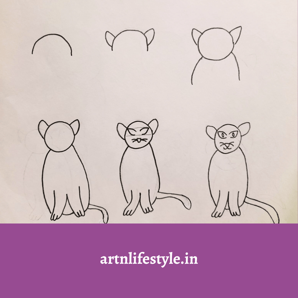 how to draw a cat step by step