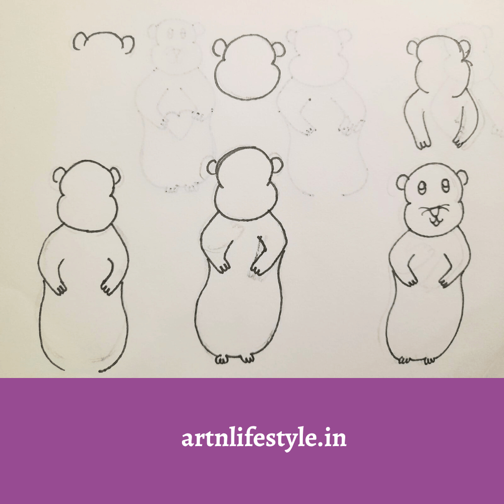 draw a hamster for kids