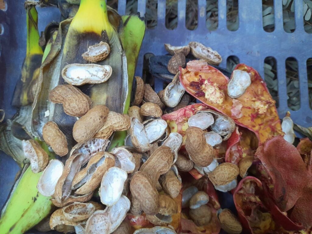Potassium and Phosphorus rich fertilizers