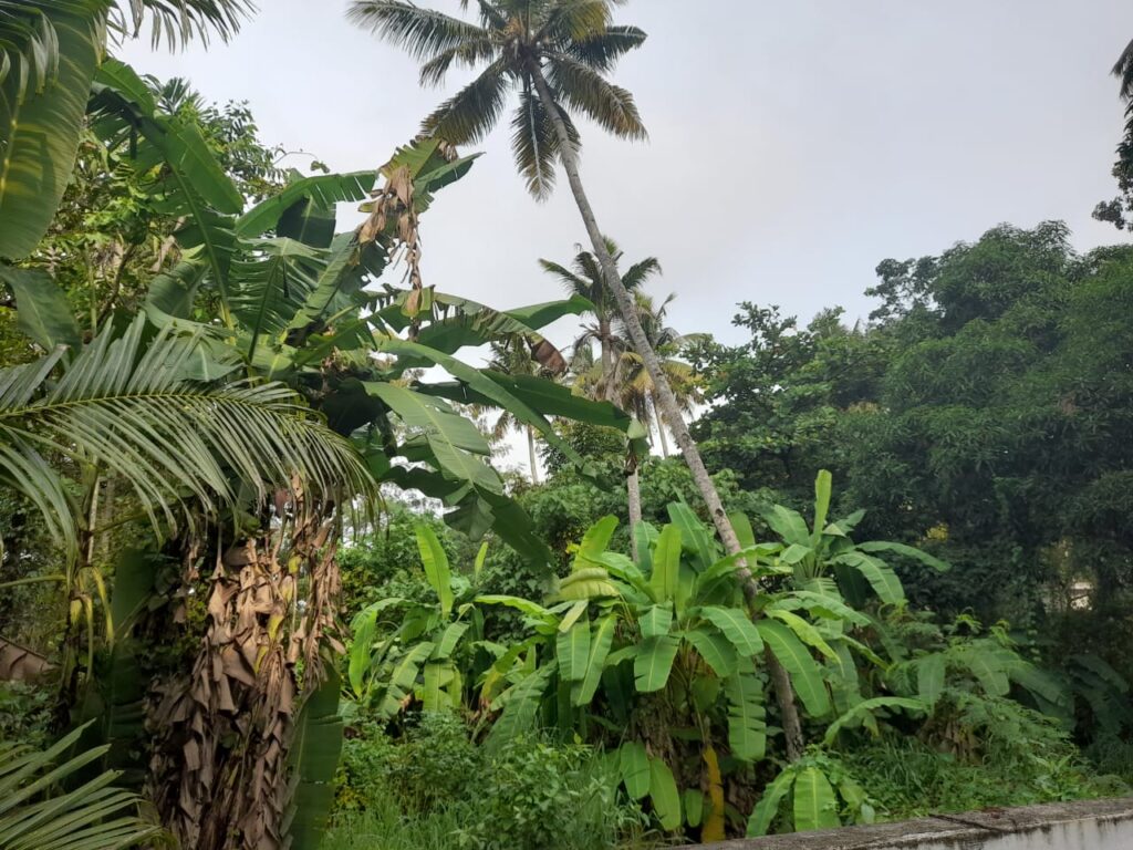 "Permaculture"