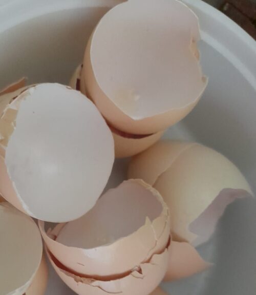 use eggshells in garden
