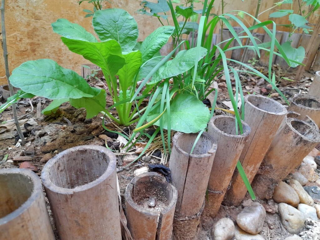 best soil for raised beds