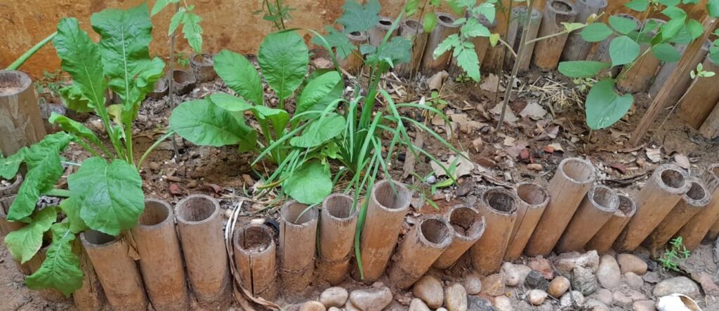 benefits of raised garden beds