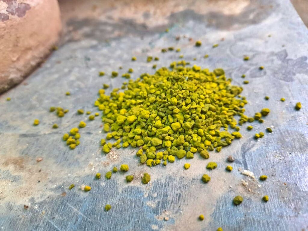 seaweed fertilizer for plants