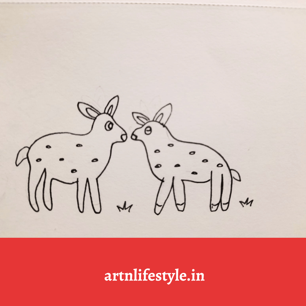 deer drawings