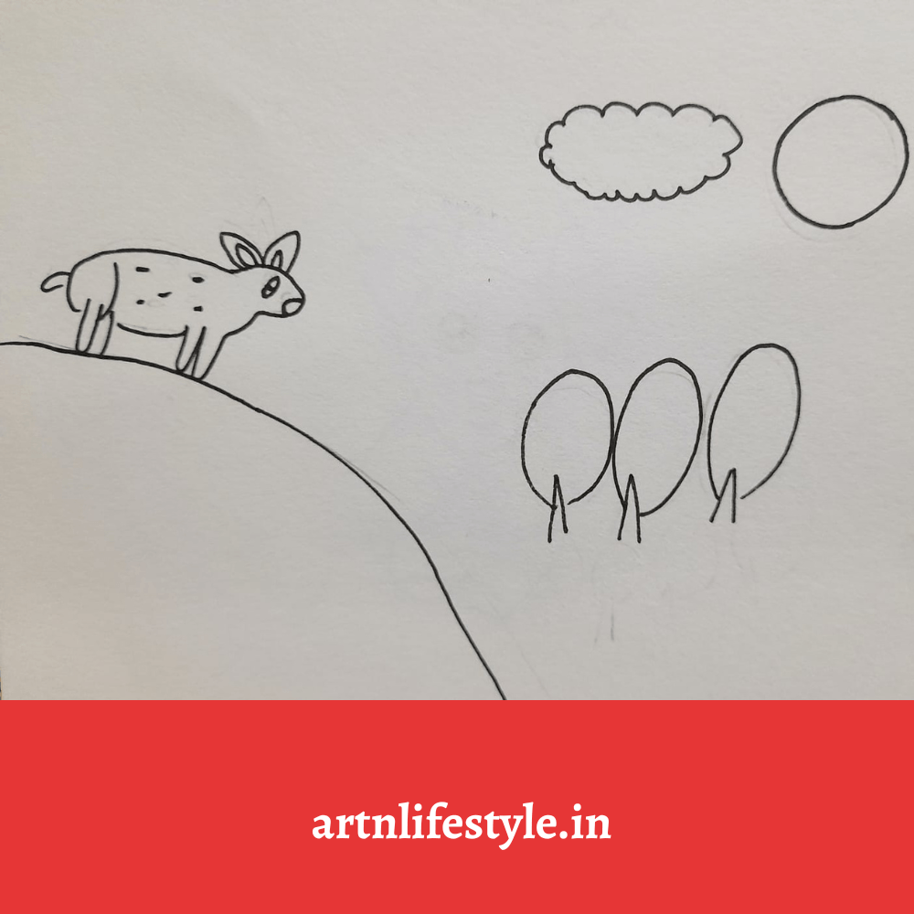deer drawings