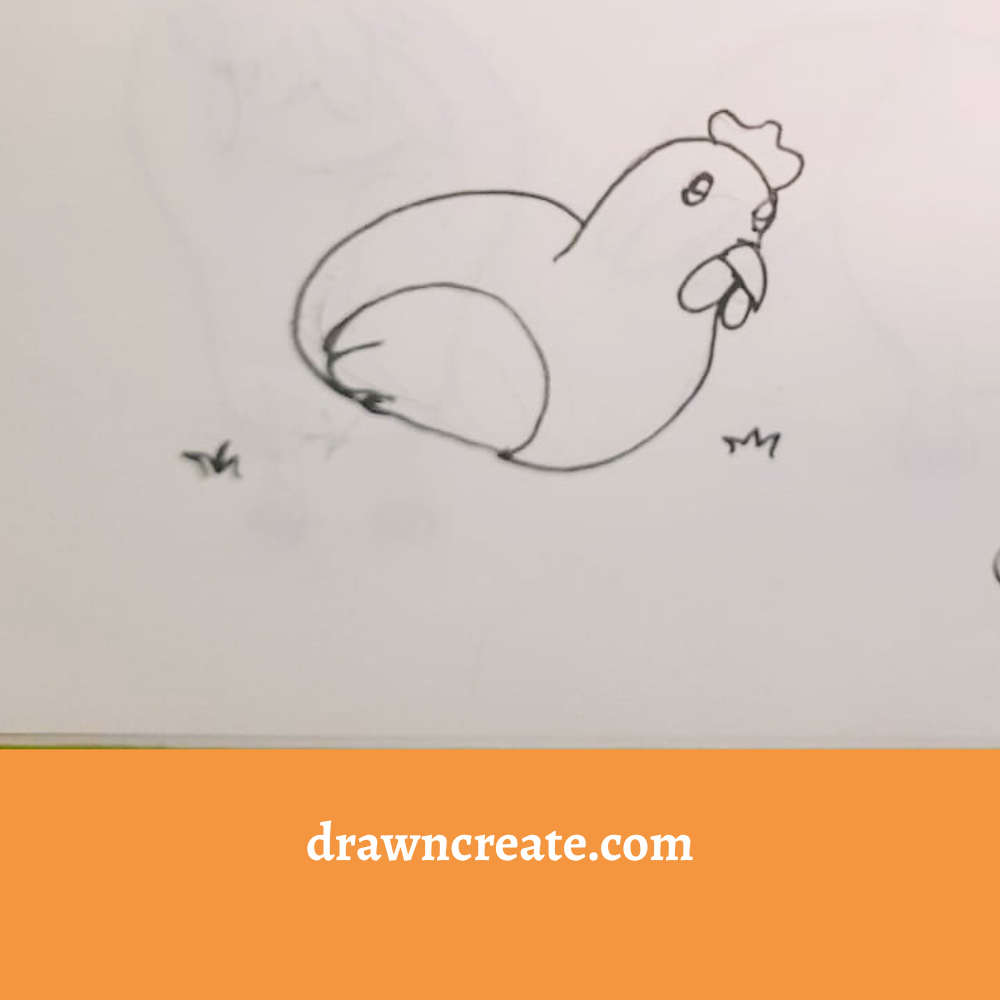 easy chicken drawing ideas