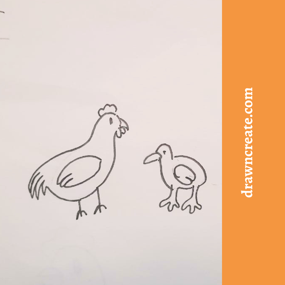 easy chicken drawing ideas