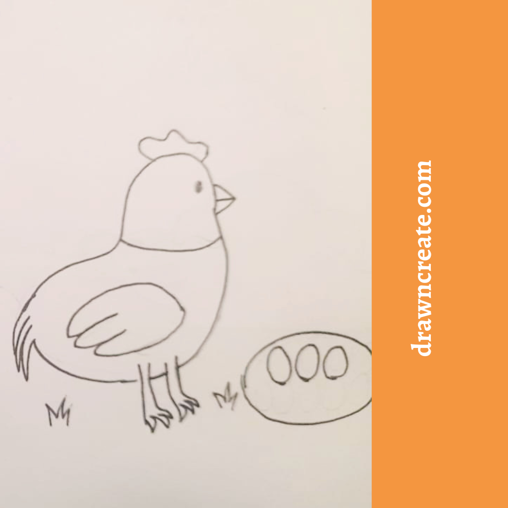 easy chicken drawing ideas