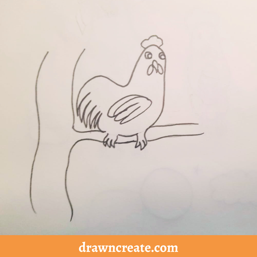 easy chicken drawing ideas