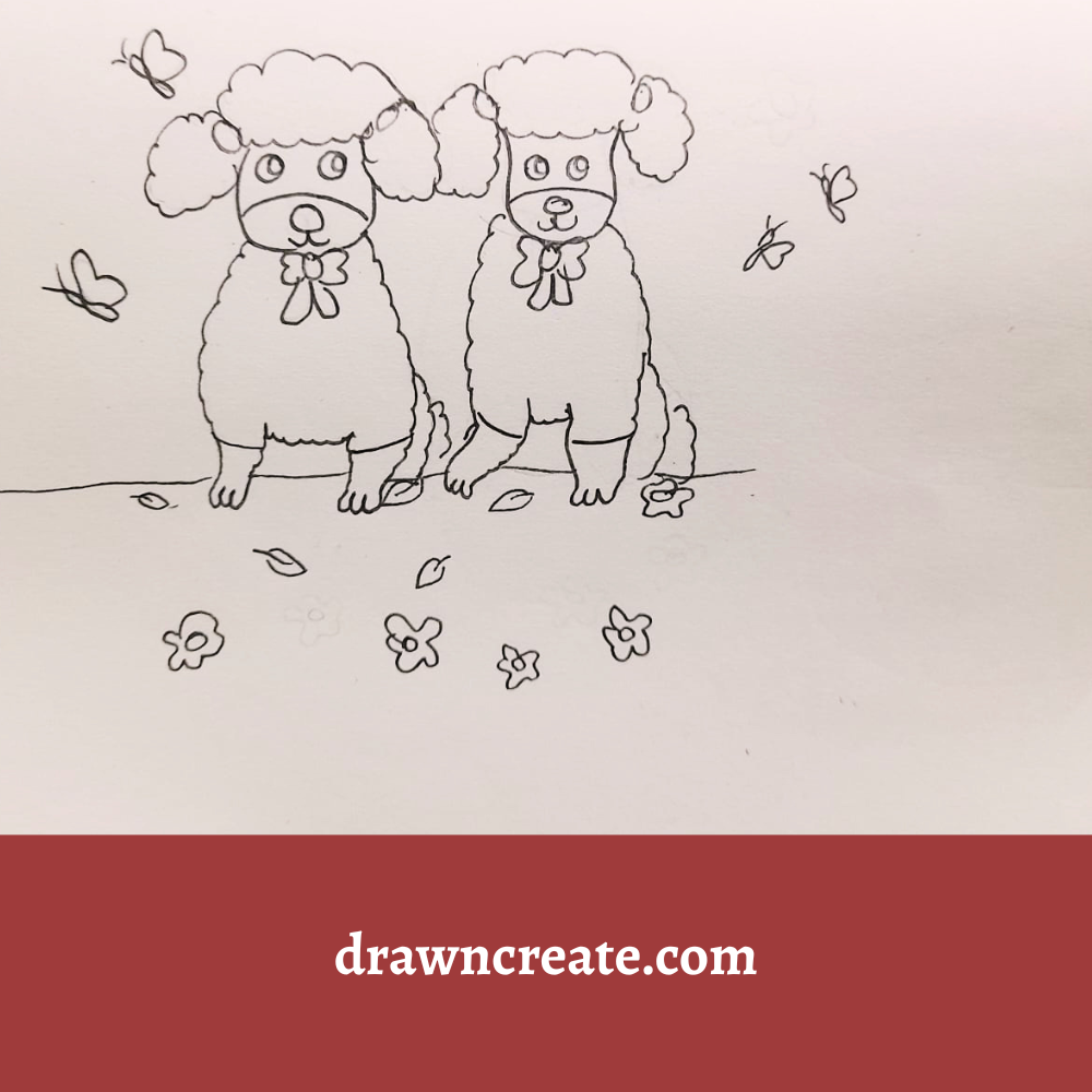 easy poodle drawing for kids