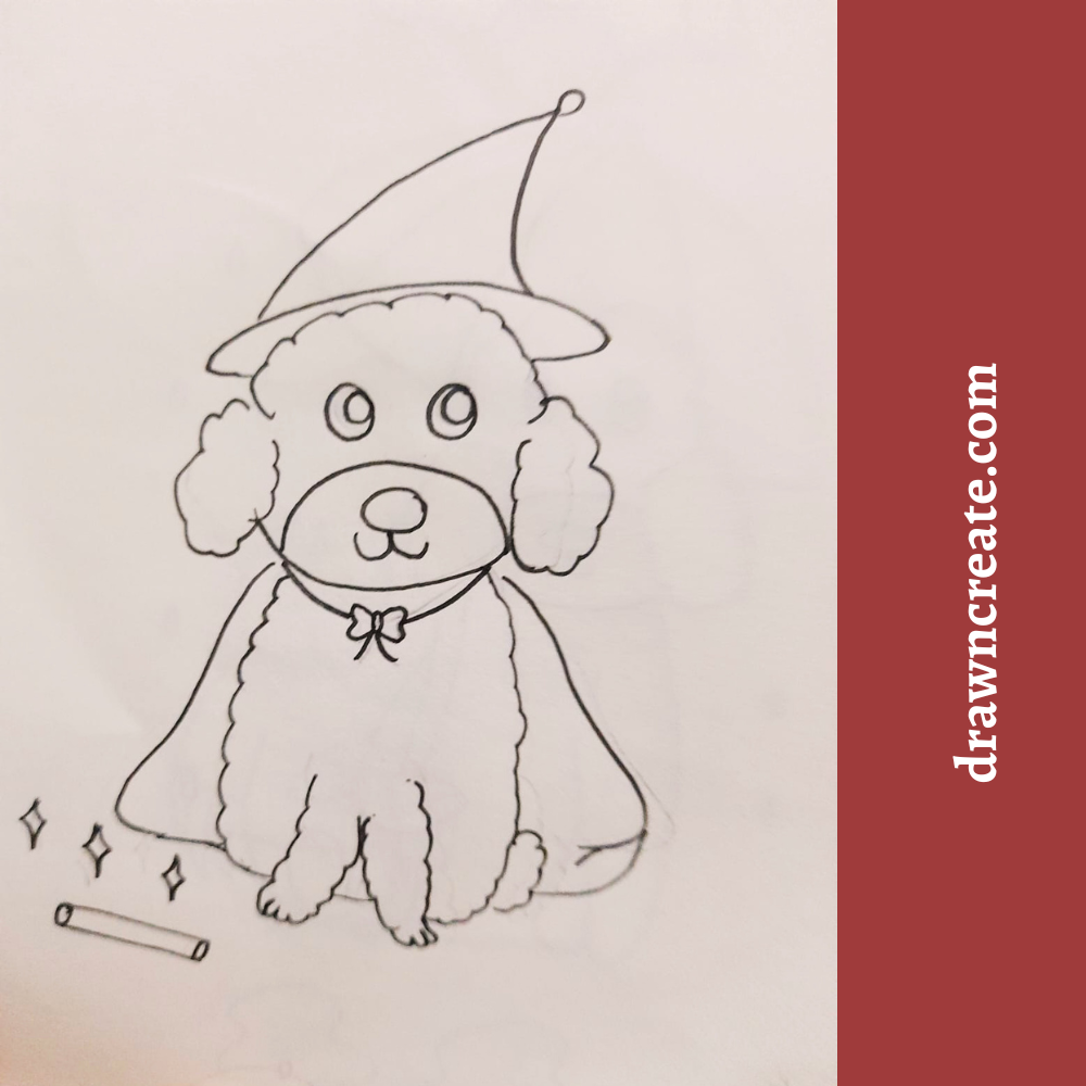 easy poodle drawing for kids