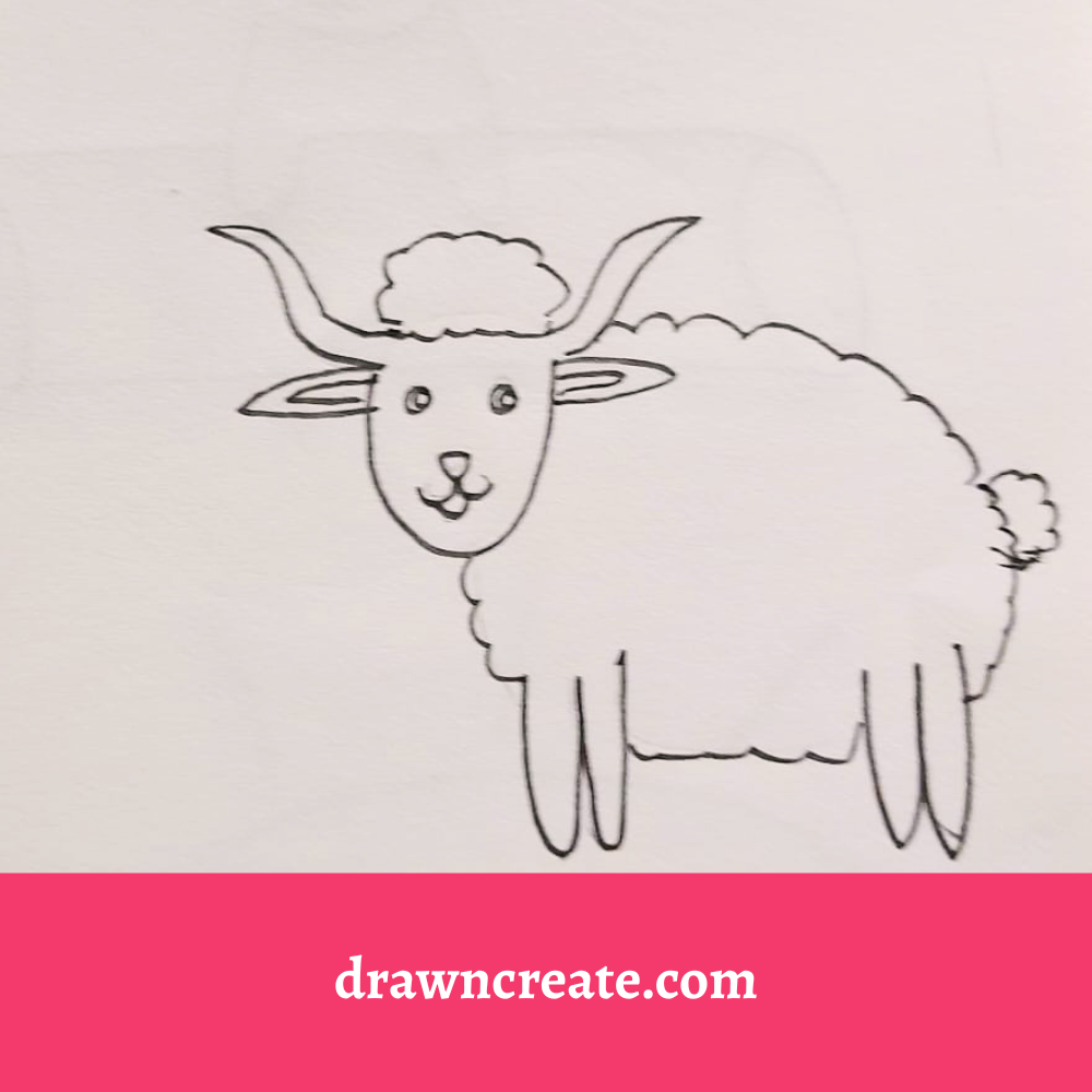 cute sheep drawing ideas