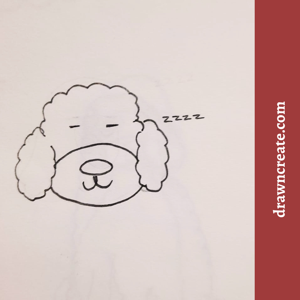 easy poodle drawing for kids