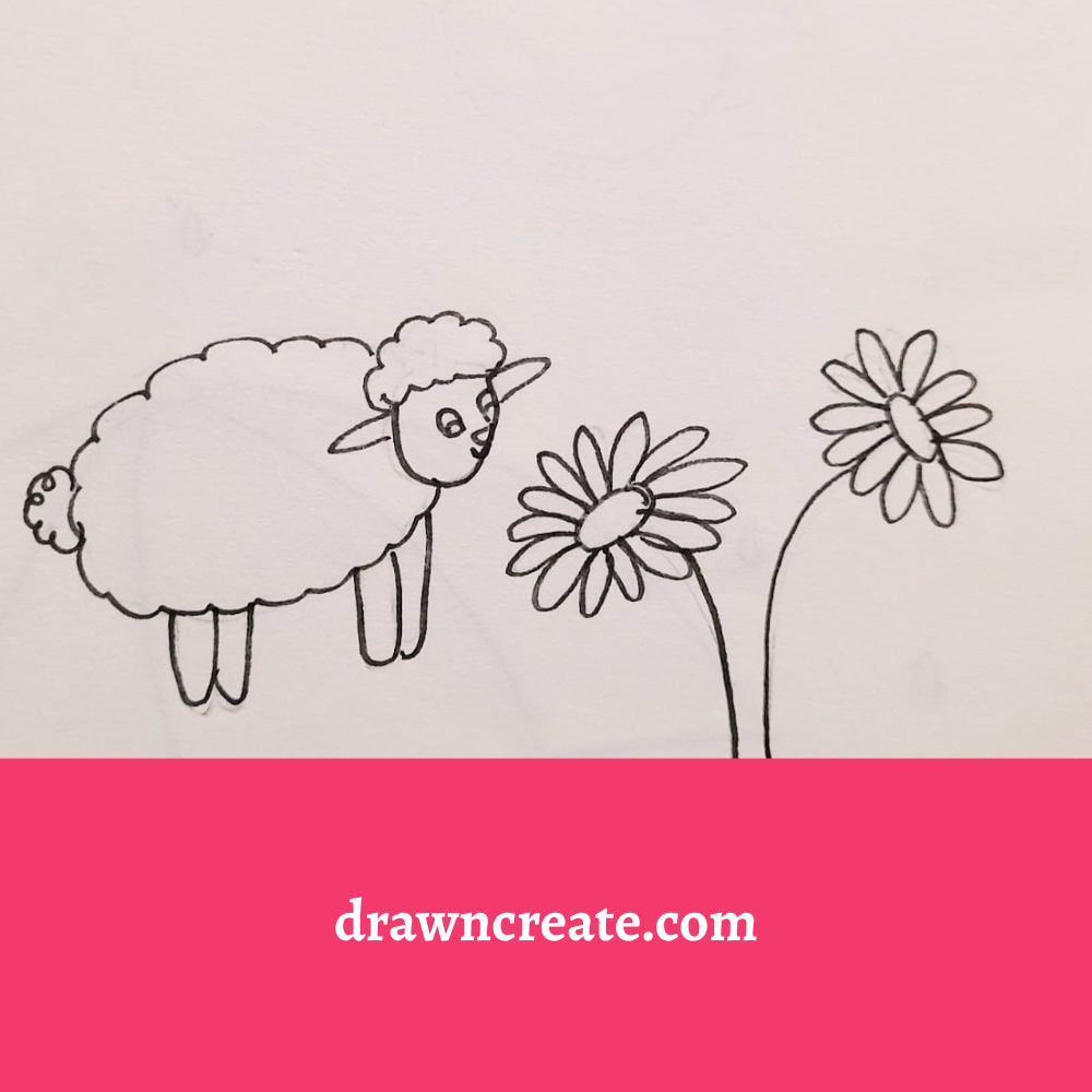 cute sheep drawing ideas