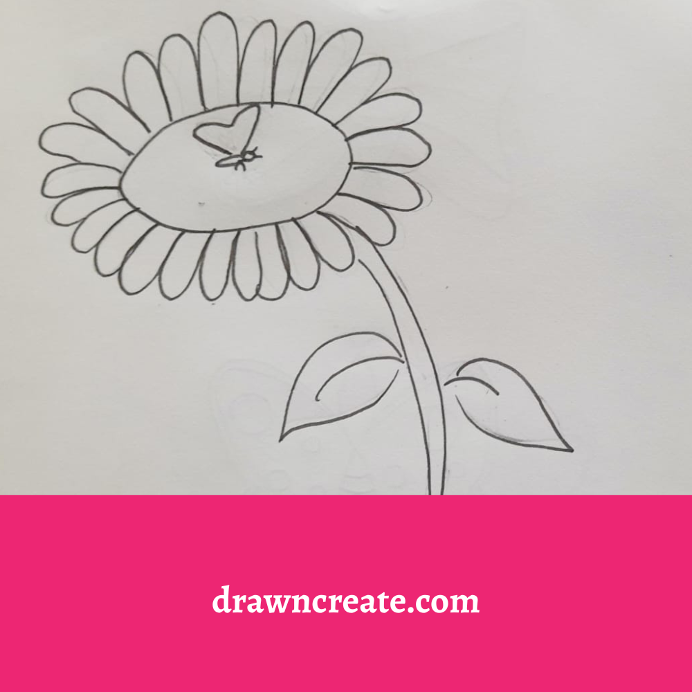 butterfly drawing ideas for kids