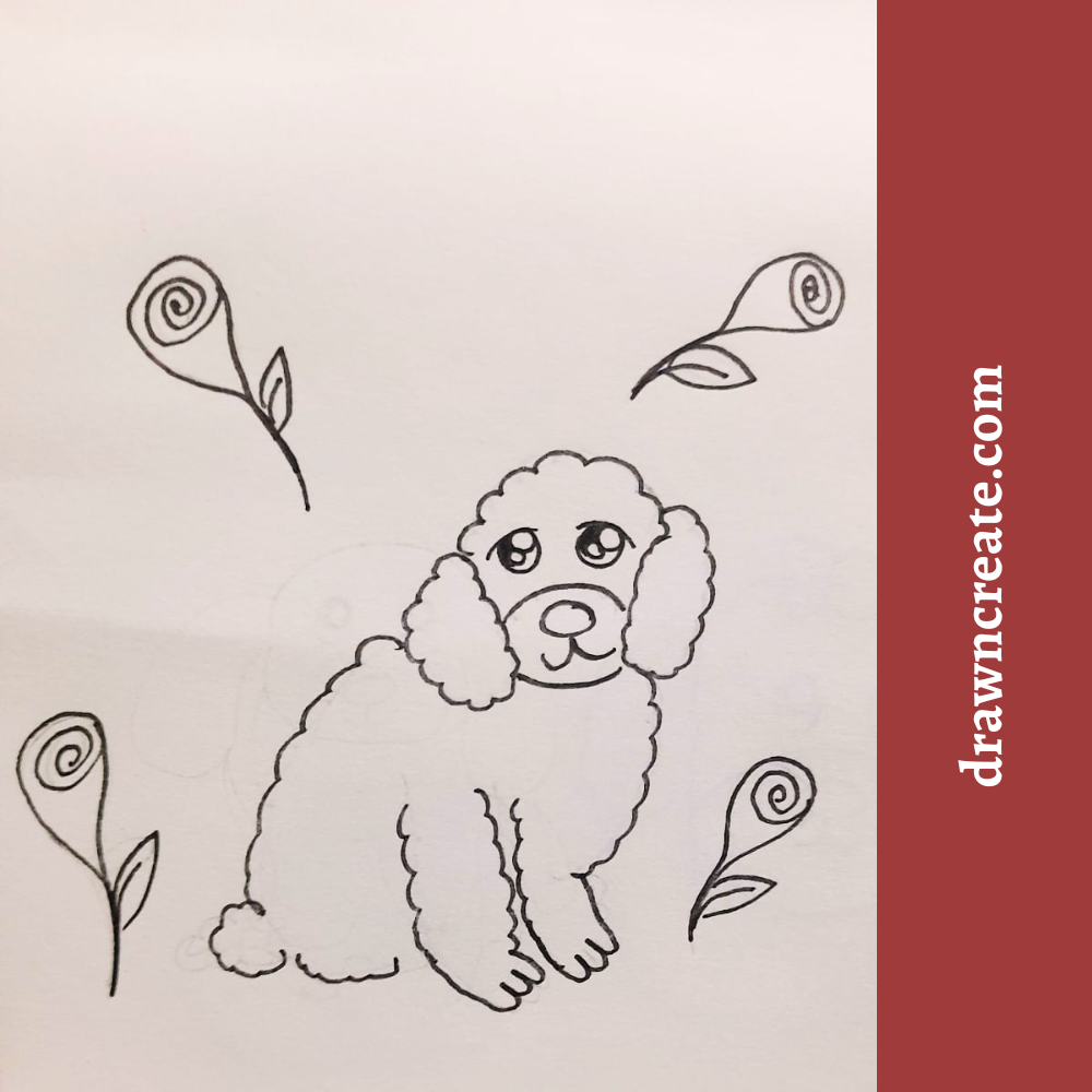 easy poodle drawing for kids