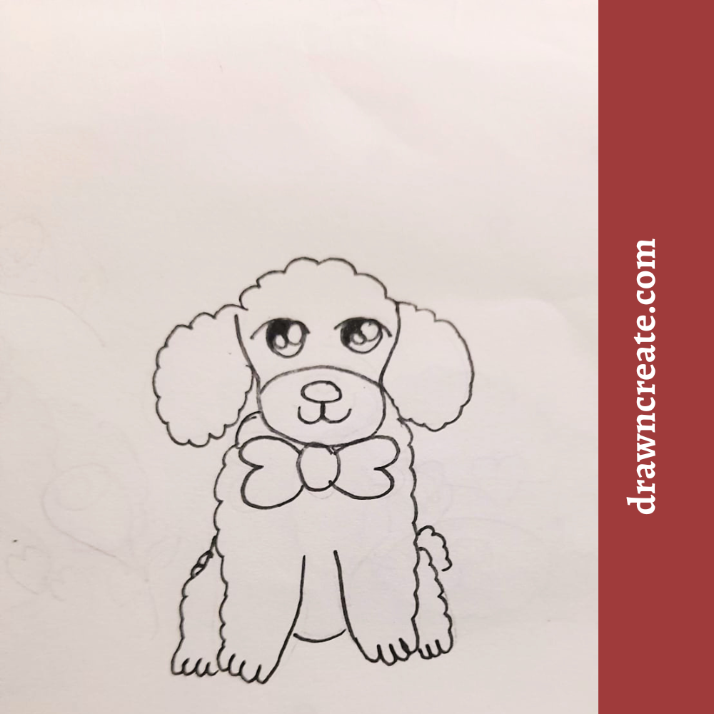 easy poodle drawing for kids