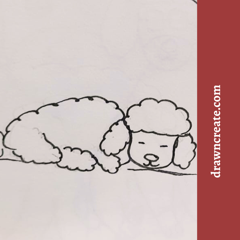 easy poodle drawing for kids