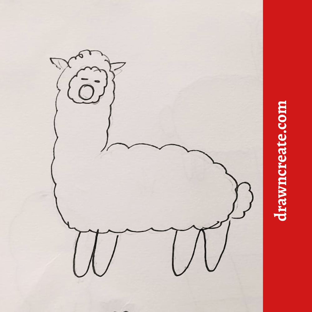 cute llama drawing for kids