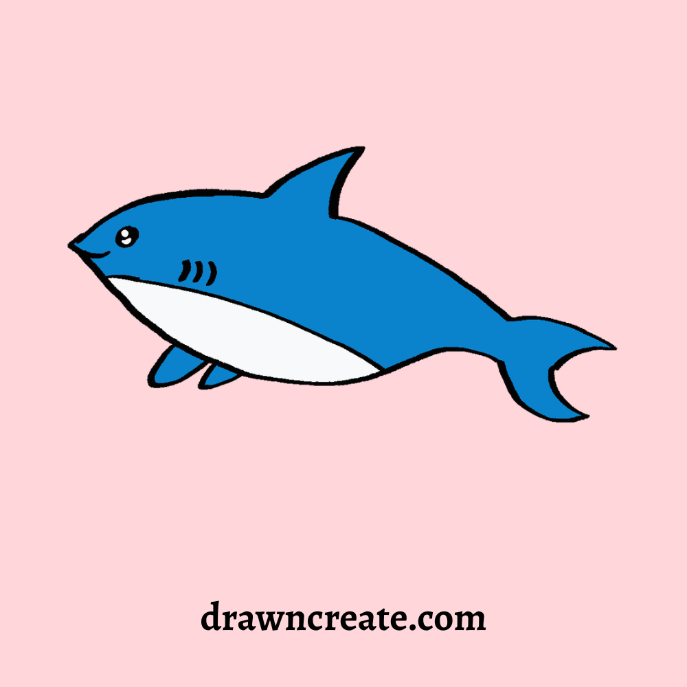 cute shark drawing ideas